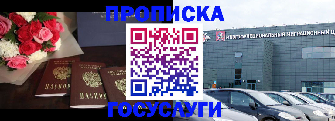 прописка законно в Сольцах